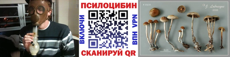 Галлюциногенные грибы прущие грибы  Закаменск 